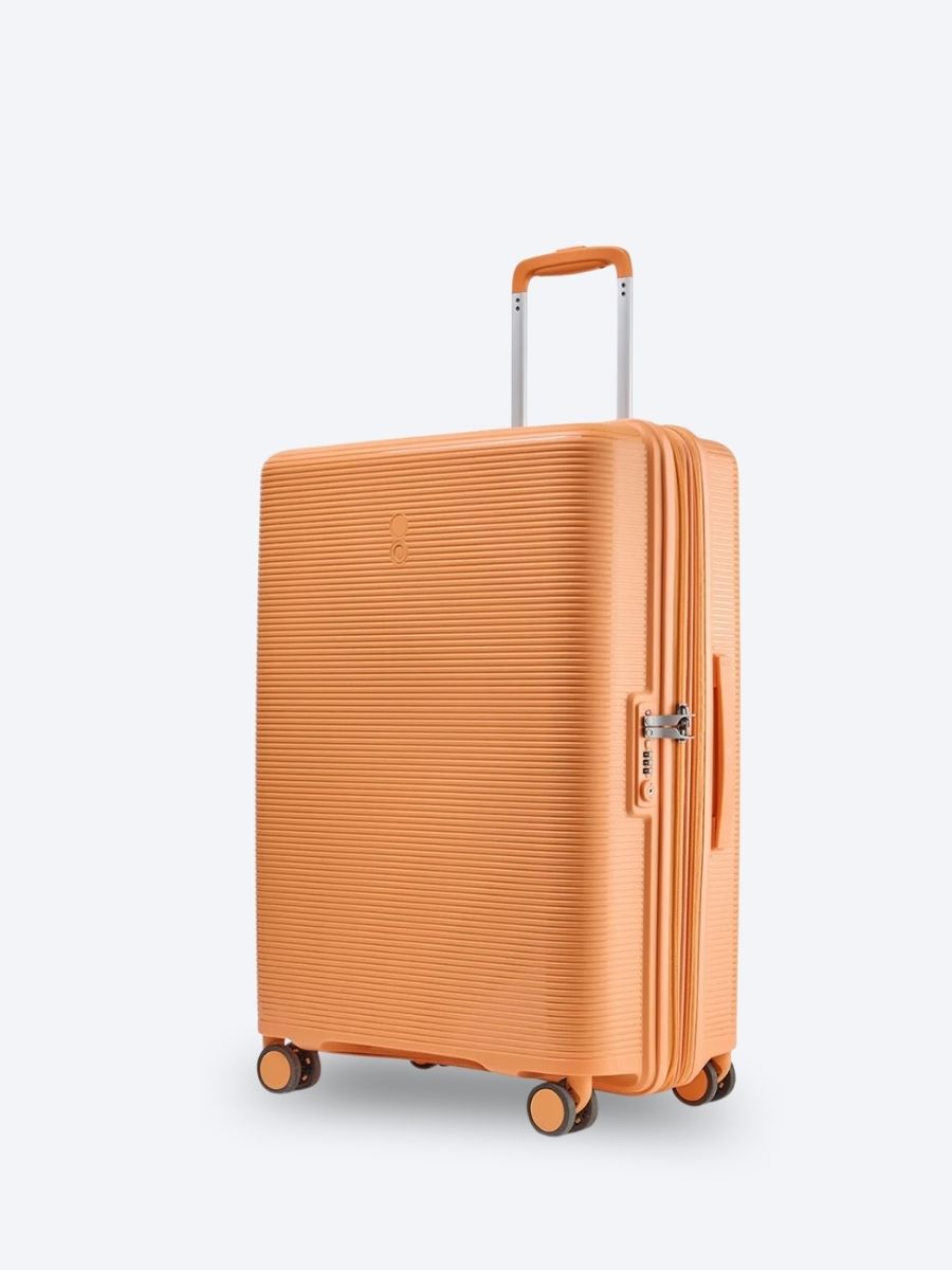Apricot