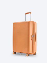 Apricot